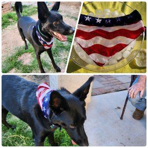 OS Hand Crafted Reusable Neck Cooler Bandana to Keep Your Dog Cooler This S…
